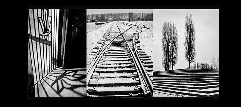 White silent hell 9